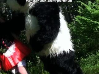punam panda xxx com