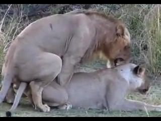 suuny lione sex xxx